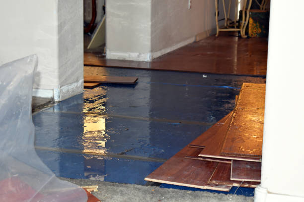 Professional Water Damage Repair technician working in Flat Rock, OH